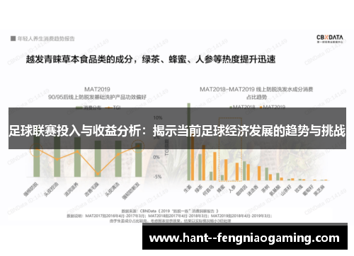 足球联赛投入与收益分析:揭示当前足球经济发展的趋势与挑战 足球联赛投入与收益分析:揭示当前足球经济发展的趋势与挑战