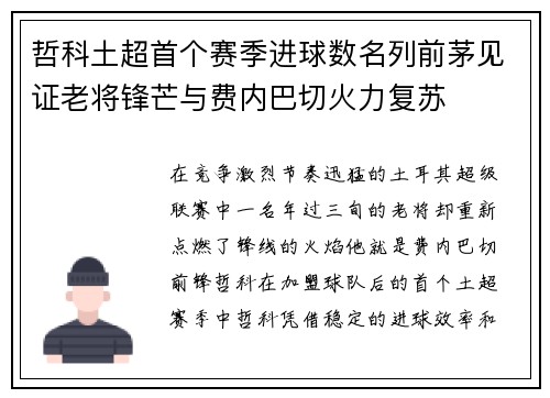 哲科土超首个赛季进球数名列前茅见证老将锋芒与费内巴切火力复苏